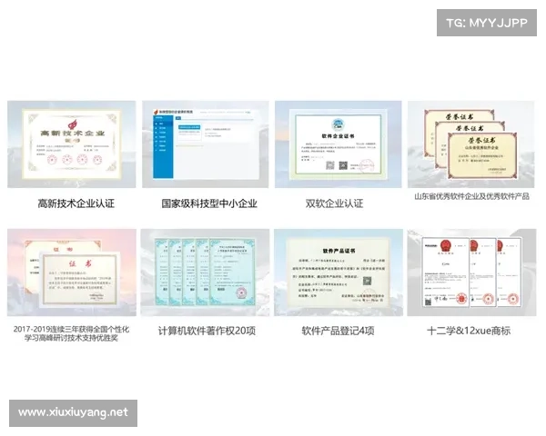 心型护匣设计创新流程：融合个性化美学与实用功能的全方位探讨